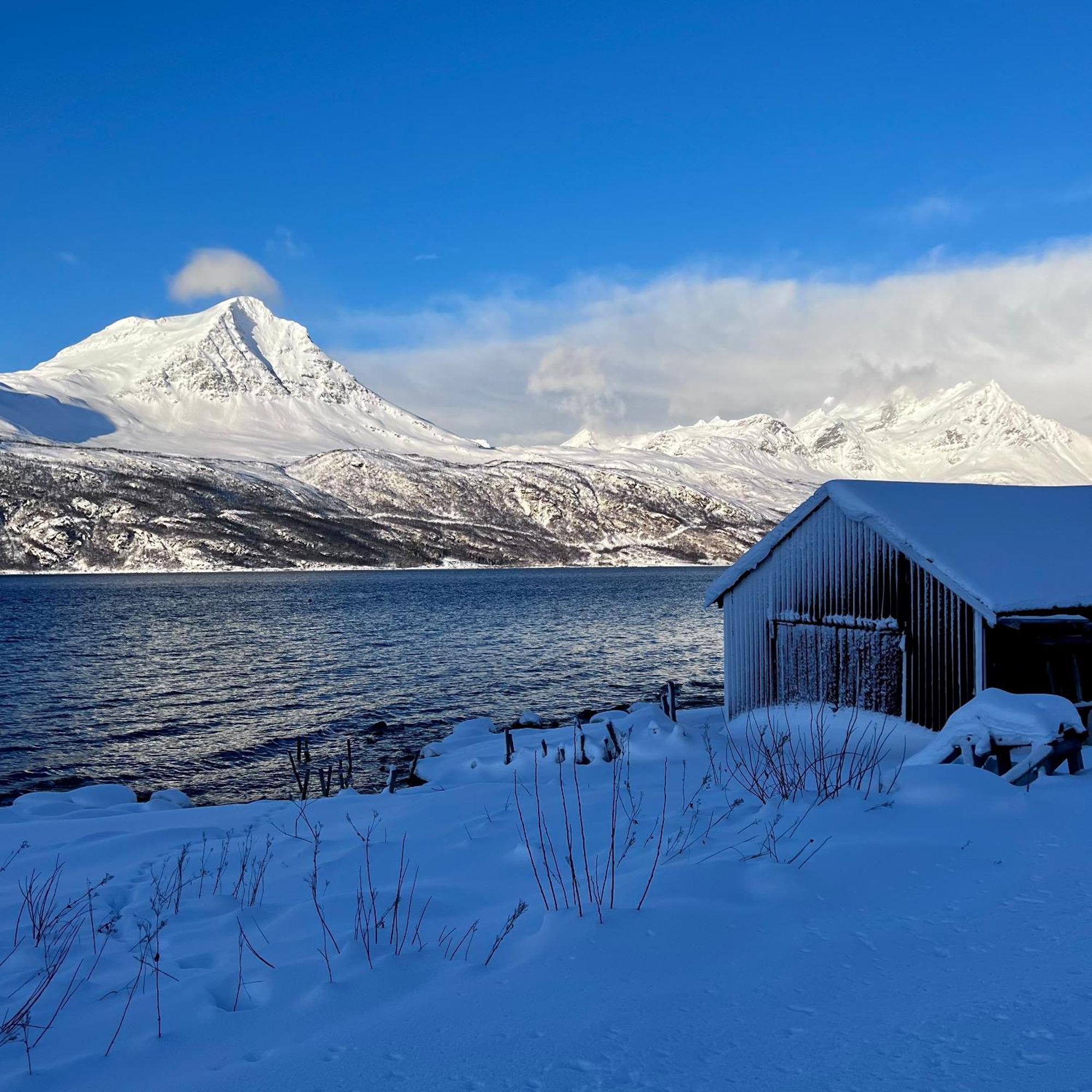 Artic Dream Apartment Gratangen Luaran gambar